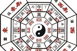 如何正确绑扎八字环的鱼线技巧分享