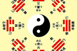 适合学大学的八字是什么？